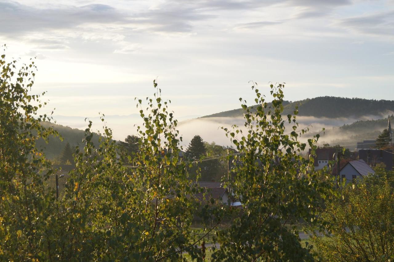 Gites Du Taennchel Thannenkirch Eksteriør bilde